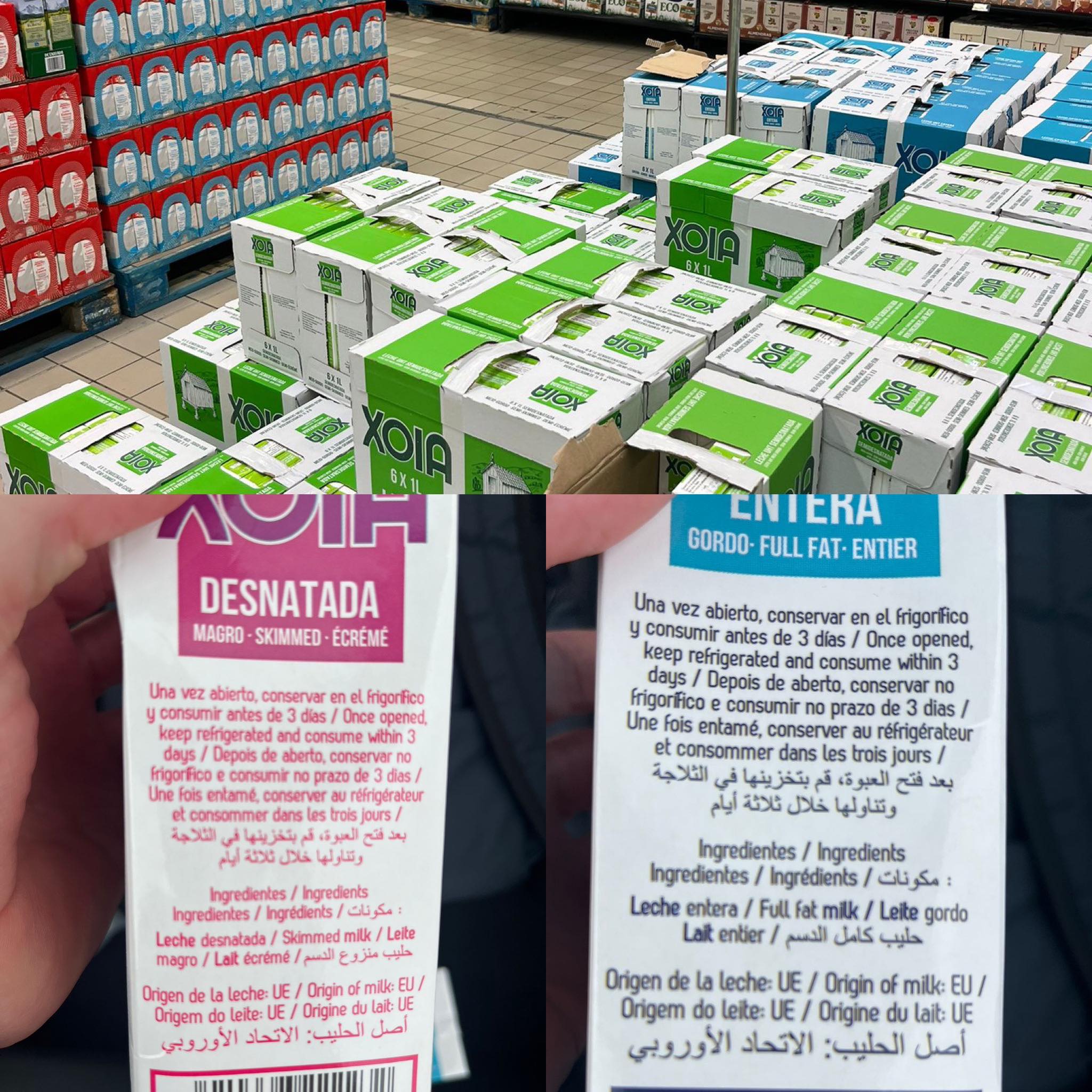 628891277 1415862443669092 4266862269448624681 n