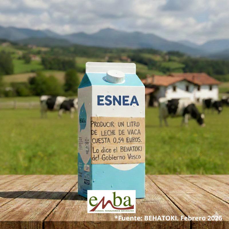 642245272 1419229479999055 8857071801020216249 n