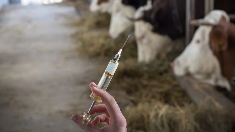 PLANTILLA WEB 2025 10 10T105954.851