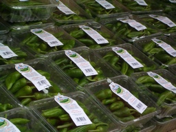 Produktu eta elikagaien kalitatezko marketarako laguntzak