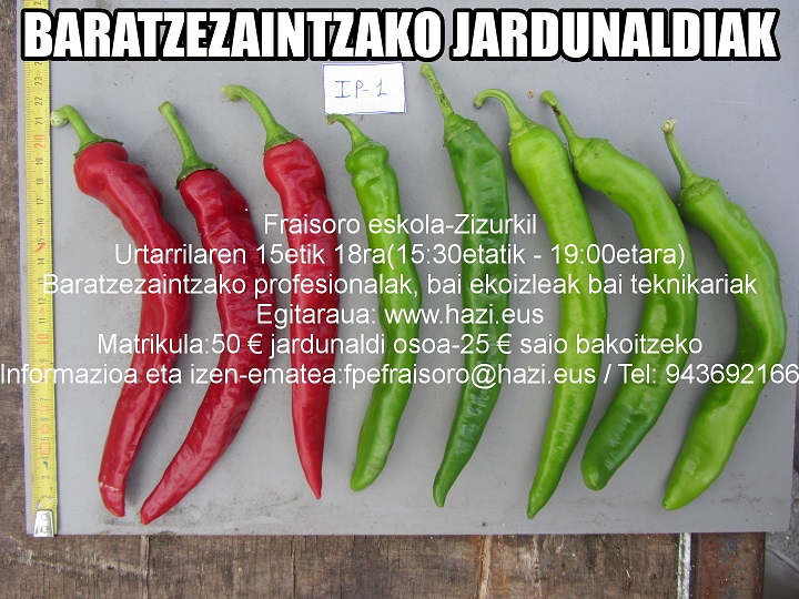 Baratzezaintzako ihardunaldi profesionalak urtarrilaren 15etik 18ra