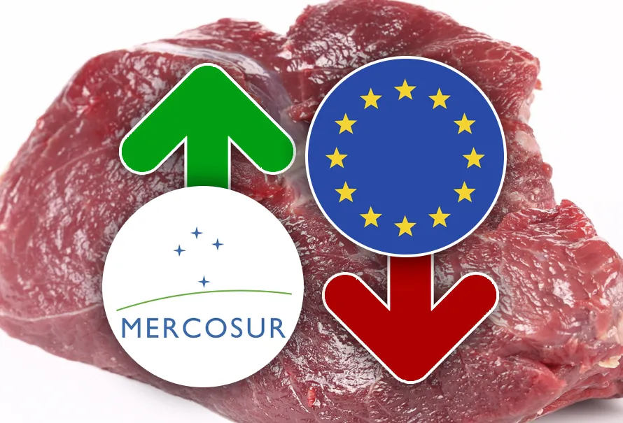 mercosur
