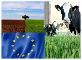 218.covid.europa2