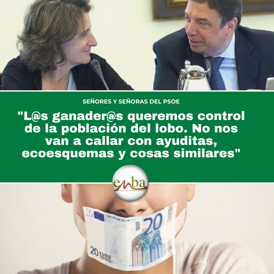 PSOE 2