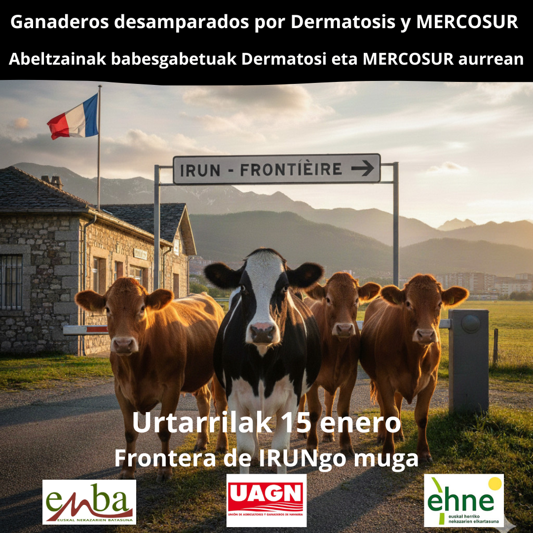 irun.15enero3