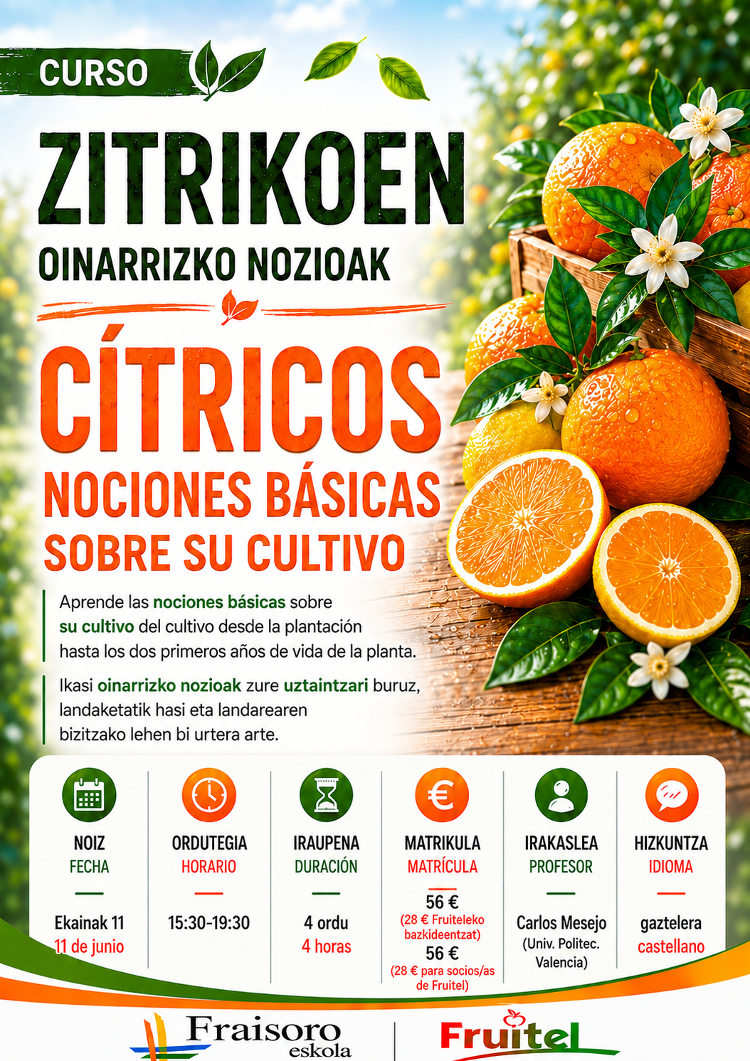 zitrikoak 4